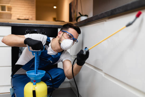 Best Best Pest Control Companies  in Eagle Butte, SD