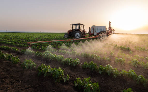 Best Pest Prevention Services  in Eagle Butte, SD