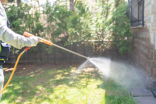 Best Termite Control Services  in Eagle Butte, SD