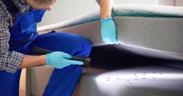 Best Commercial Pest Control Services  in Eagle Butte, SD