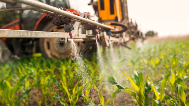 Best Pest Inspection Near Me  in Eagle Butte, SD